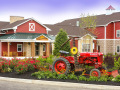Field-of-Dreams-59